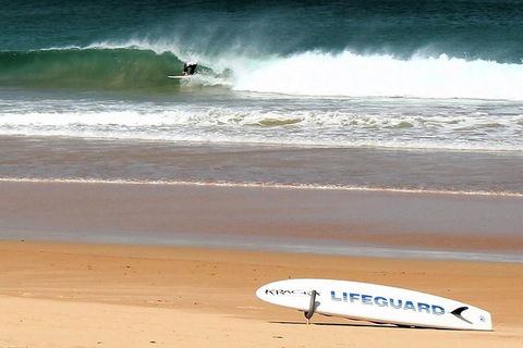 Half Day Manly Beach And More - C Tourism 5