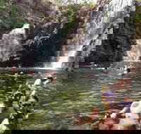 Litchfield National Park and Jumping Crocodile Cruise - C Tourism