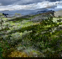 3-Day Tour to the Falls Mountains Lake  More of West Coast Tasmania - C Tourism