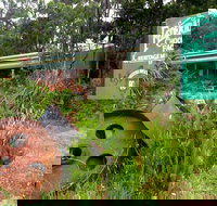 Port Arthur Richmond and Tasman Peninsula Day Trip from Hobart - C Tourism