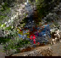 5-Day Lap of Tasmania Tour from Hobart flexible ticket - C Tourism