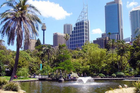 Private Sydney Half Day Tour Including Sydney Opera House And Bondi Beach - C Tourism 4