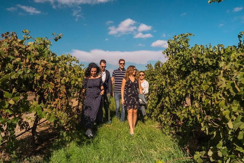 Barossa Valley Private Tour (from 2 To 11 People) - C Tourism 0