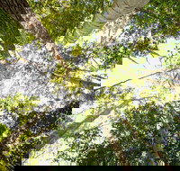 Fraser Island 4WD Tour from Noosa - C Tourism