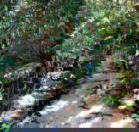 Fraser Island 4WD Tour from Rainbow Beach - C Tourism