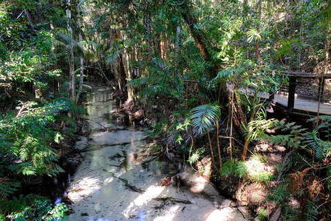 Fraser Island 4WD Tour From Rainbow Beach - C Tourism 0