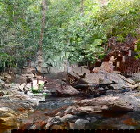 Ethical Adventures - Best in the WET - Litchfield / Kakadu 3 Day- max 10 guests - C Tourism