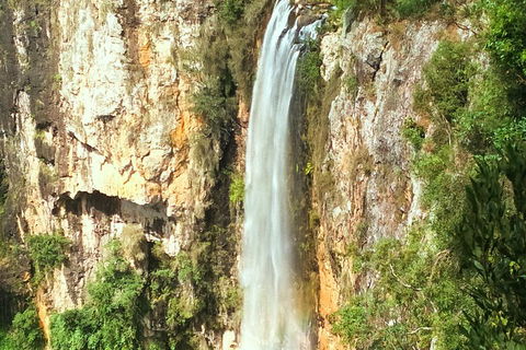 Natural Arch, Rainforest & Volcano Canyon - Private Half Day Tour - C Tourism 2