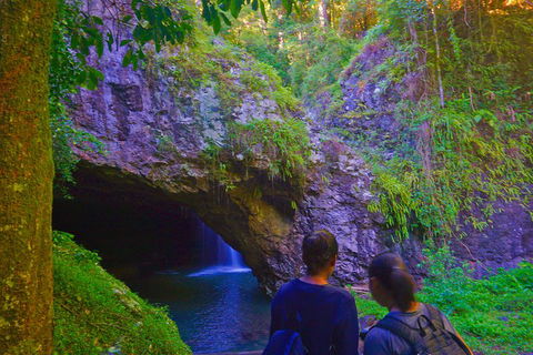Natural Arch, Rainforest & Volcano Canyon - Private Half Day Tour - C Tourism 4