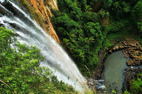 Natural Arch, Rainforest & Volcano Canyon - Private Half Day Tour - C Tourism 5