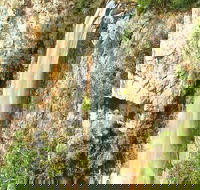 Private Tour - Rainforest  Waterfalls Extravaganza - C Tourism