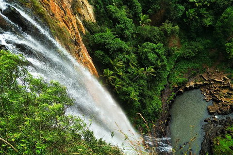 Private Tour - Rainforest & Waterfalls Extravaganza - C Tourism 2