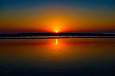 Glow Worms Private Tour - Nocturnal Rainforest Walk - C Tourism 3