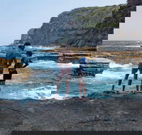 Sydney Private Tour Featuring Wilderness Wildlife Waves Waterfalls and Wine - C Tourism