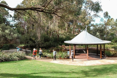 Highlights Of Kings Park - C Tourism 1
