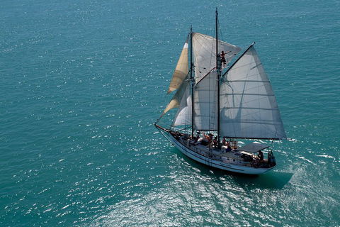 Whitehaven Beach Sailing And Snorkeling Cruise - C Tourism 1