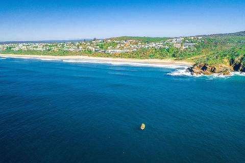 2-Hour Guided Whale Watching Tour At Noosa - C Tourism 4