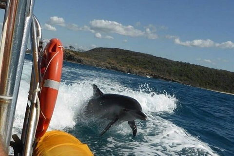 Noosa Oceanrider - Adventure Tour - C Tourism 1