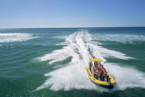 Noosa Oceanrider - Adventure Tour - C Tourism 2