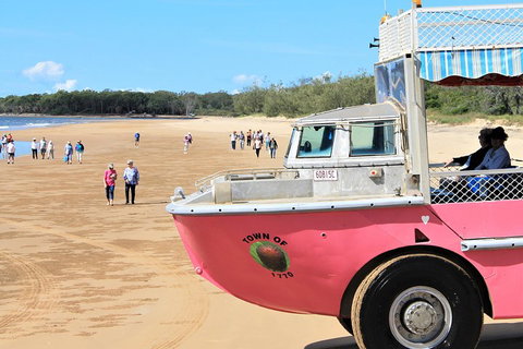 1770 Coastline Tour By LARC Amphibious Vehicle Including Picnic Lunch - C Tourism 0