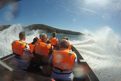 Noosa Thriller - 500hp Ocean Adventure Ride - C Tourism 3