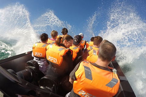 Noosa Thriller - 500hp Ocean Adventure Ride - C Tourism 4