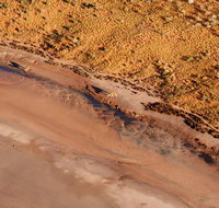 Scenic Flight Lizard Safari - C Tourism
