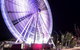 Discover Brisbane - thumb 0