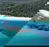 All Inclusive Tangalooma Wrecks Cruise Tour From Gold Coast - C Tourism