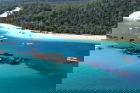 All Inclusive Tangalooma Wrecks Cruise Tour From Gold Coast, Brisbane