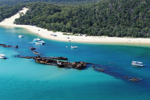 All Inclusive Tangalooma Wrecks Cruise Tour From Gold Coast - C Tourism 0