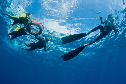 Passions Of Paradise Great Barrier Reef Snorkel And Dive Cruise From Cairns By Luxury Catamaran - C Tourism 2