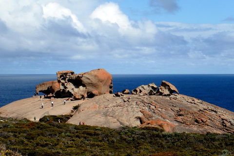 Kangaroo Island Personal Group Tours - C Tourism 5
