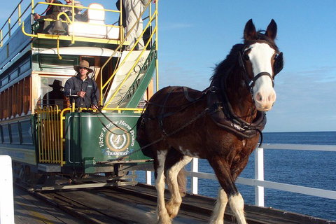 Full-Day Tour In South Australia Highlights - C Tourism 1