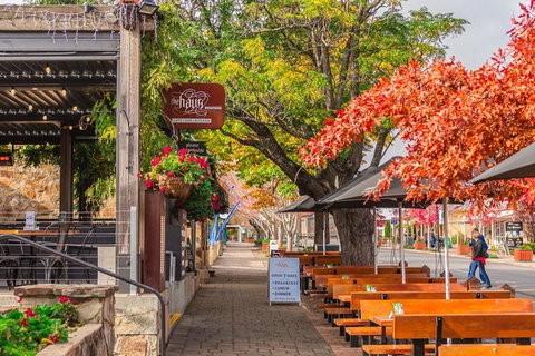 Full-Day Tour In South Australia Highlights - C Tourism 2