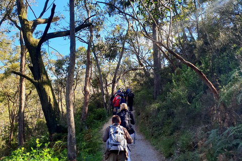 Self-Guided Waterfall Gully To Mount Lofty Hike From Adelaide - C Tourism 1