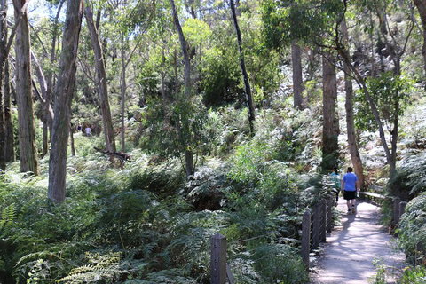 Self-Guided Waterfall Gully To Mount Lofty Hike From Adelaide - C Tourism 2