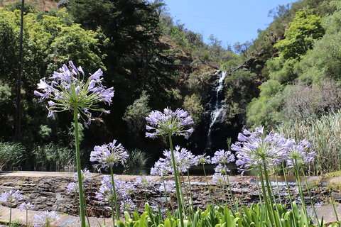 Self-Guided Waterfall Gully To Mount Lofty Hike From Adelaide - C Tourism 3
