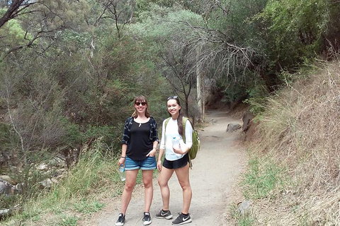 Self-Guided Waterfall Gully To Mount Lofty Hike From Adelaide - C Tourism 4
