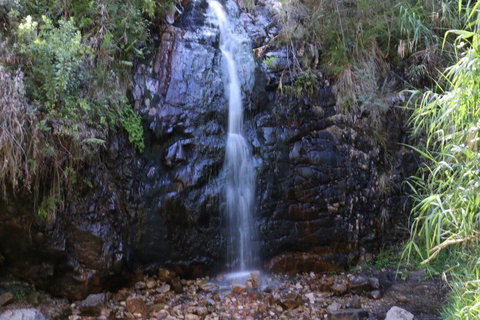 Self-Guided Waterfall Gully To Mount Lofty Hike From Adelaide - C Tourism 5