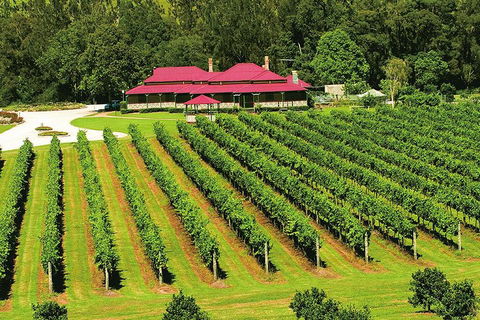 O'Reilly's & Lamington National Park From Brisbane - C Tourism 2