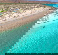 Ningaloo in a Day - Full Day Hike and Snorkel Tour with Lunch - C Tourism