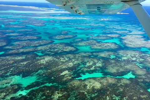 Shipwreck Special Full Day Tour Of The Abrolhos Islands - C Tourism 1