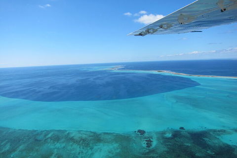 Shipwreck Special Full Day Tour Of The Abrolhos Islands - C Tourism 2