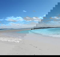 Shipwreck Special Nature Tour/Half Day Tour - C Tourism