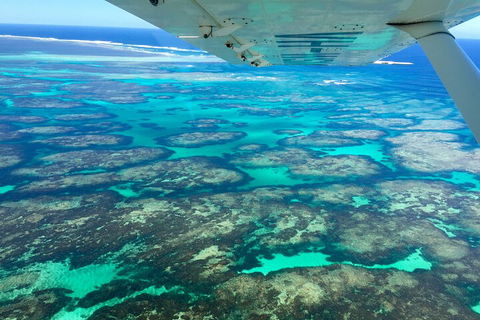 Kalbarri, Pink Lake And Abrolhos Islands Nature Tour - C Tourism 5