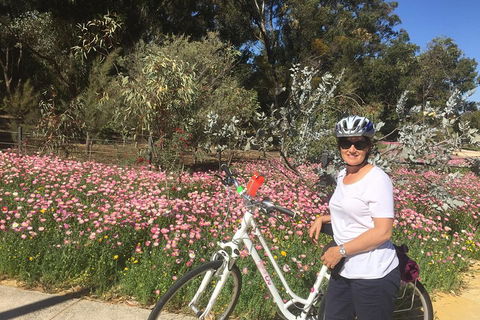 Perth Bike Tour - Beautiful Matilda Bay And Kings Park - C Tourism 1