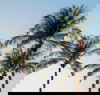 Darwin City Sightseeing Tour - C Tourism