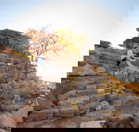 3-Day Kakadu National Park and Arnhem Land Explorer Tour from Darwin - C Tourism