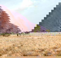 Uluru Sunrise and Guided Base Walk - C Tourism